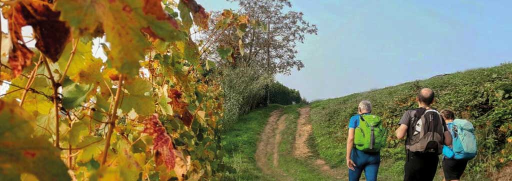 trekking-strada-vino